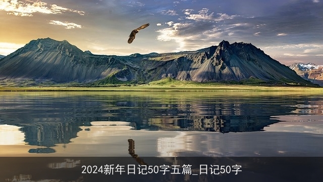 2024新年日记50字五篇_日记50字