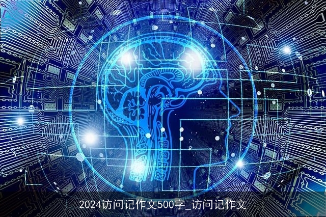 2024访问记作文500字_访问记作文