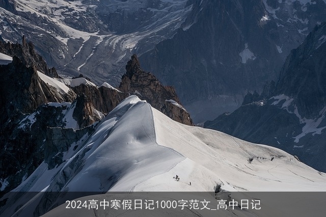 2024高中寒假日记1000字范文_高中日记