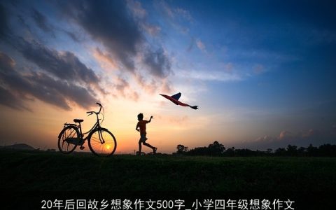 20年后回故乡想象作文500字_小学四年级想象作文