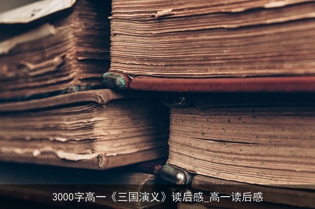 3000字高一《三国演义》读后感_高一读后感