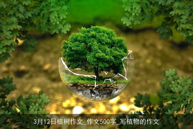 3月12日植树作文_作文500字_写植物的作文