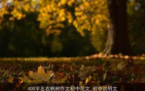 400字左右枫树作文初中范文_初中说明文