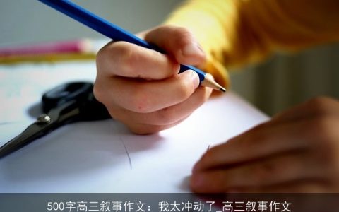 500字高三叙事作文：我太冲动了_高三叙事作文