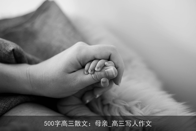 500字高三散文：母亲_高三写人作文