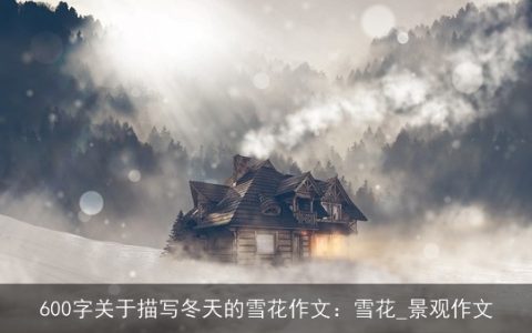 600字关于描写冬天的雪花作文：雪花_景观作文