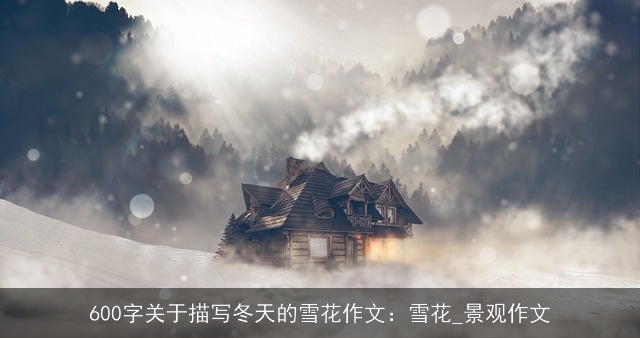 600字关于描写冬天的雪花作文：雪花_景观作文