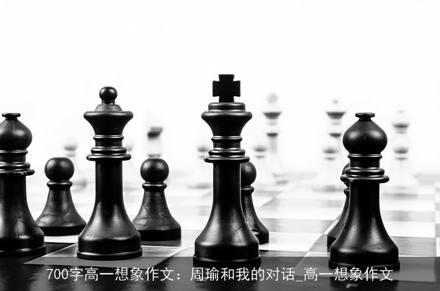 700字高一想象作文：周瑜和我的对话_高一想象作文