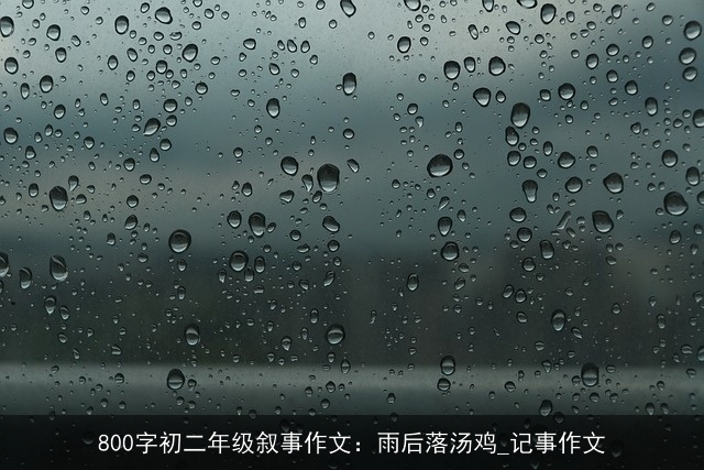 800字初二年级叙事作文：雨后落汤鸡_记事作文