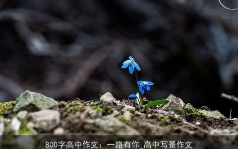 800字高中作文：一路有你_高中写景作文