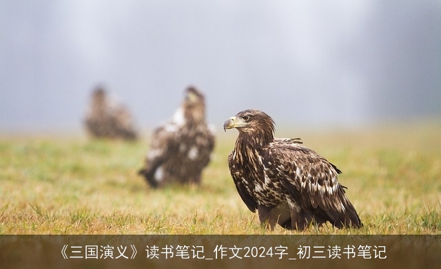 《三国演义》读书笔记_作文2024字_初三读书笔记