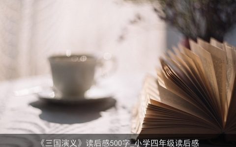 《三国演义》读后感500字_小学四年级读后感