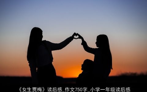 《女生贾梅》读后感_作文750字_小学一年级读后感