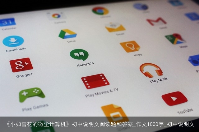 《小如雪花的微尘计算机》初中说明文阅读题和答案_作文1000字_初中说明文