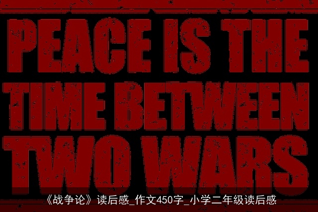 《战争论》读后感_作文450字_小学二年级读后感