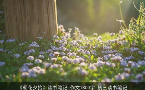 《朝花夕拾》读书笔记_作文1800字_初三读书笔记