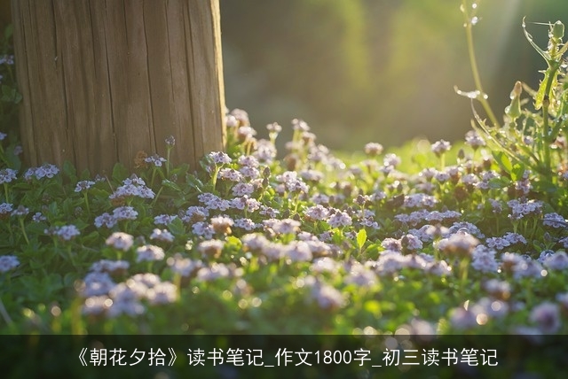 《朝花夕拾》读书笔记_作文1800字_初三读书笔记