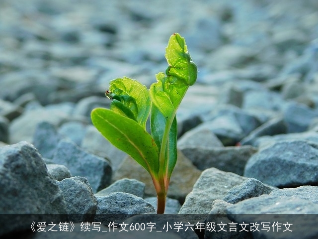 《爱之链》续写_作文600字_小学六年级文言文改写作文