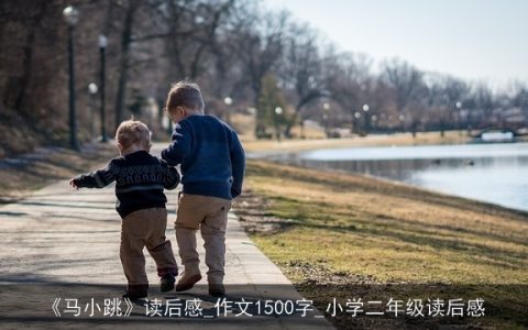 《马小跳》读后感_作文1500字_小学二年级读后感