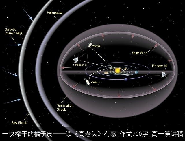 一块榨干的橘子皮——读《高老头》有感_作文700字_高一演讲稿