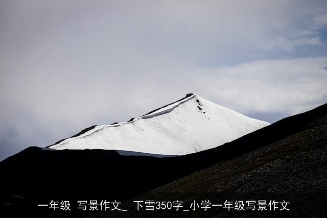 一年级 写景作文_ 下雪350字_小学一年级写景作文