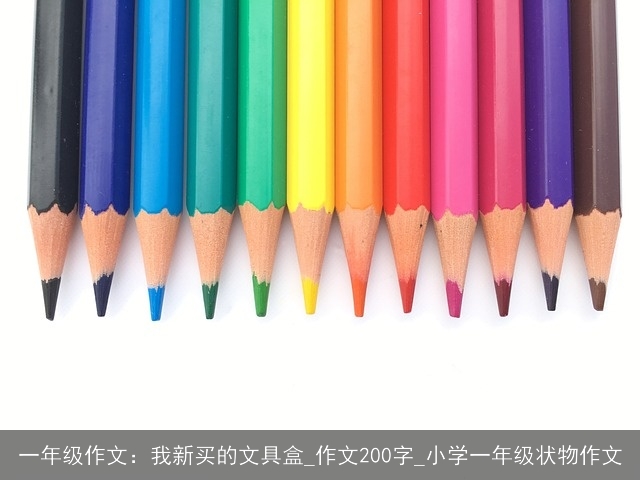 一年级作文：我新买的文具盒_作文200字_小学一年级状物作文