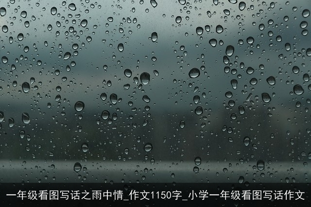 一年级看图写话之雨中情_作文1150字_小学一年级看图写话作文