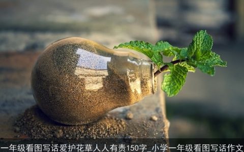 一年级看图写话爱护花草人人有责150字_小学一年级看图写话作文