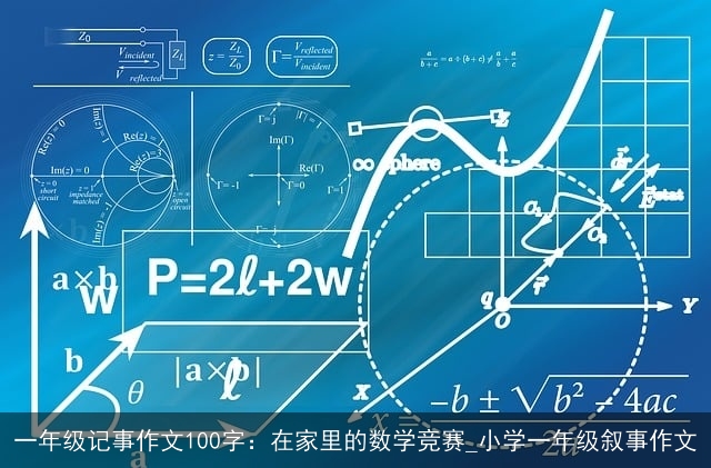 一年级记事作文100字：在家里的数学竞赛_小学一年级叙事作文