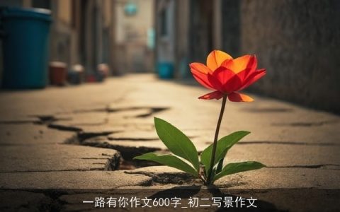 一路有你作文600字_初二写景作文