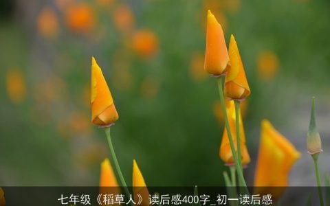 七年级《稻草人》读后感400字_初一读后感