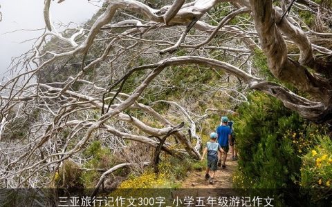 三亚旅行记作文300字_小学五年级游记作文