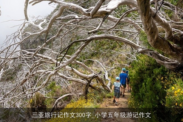 三亚旅行记作文300字_小学五年级游记作文