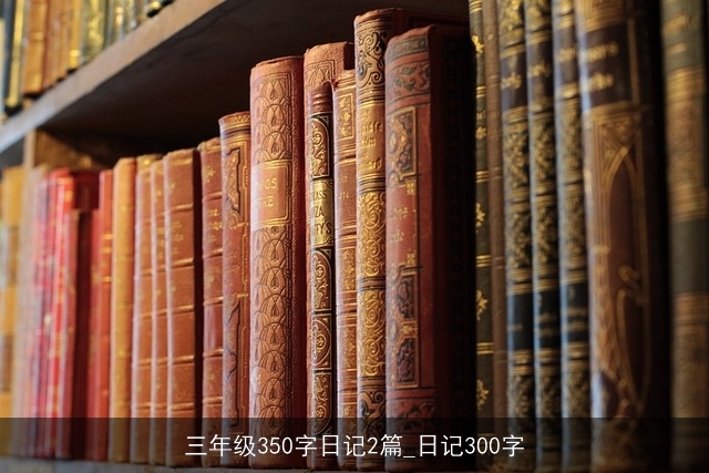 三年级350字日记2篇_日记300字