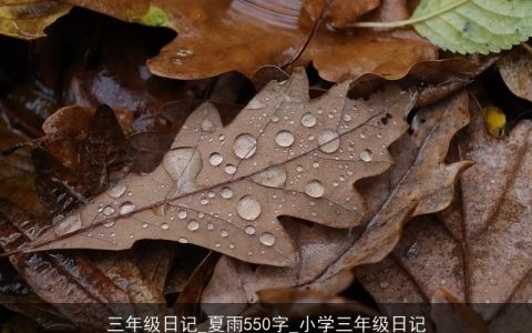 三年级日记_夏雨550字_小学三年级日记