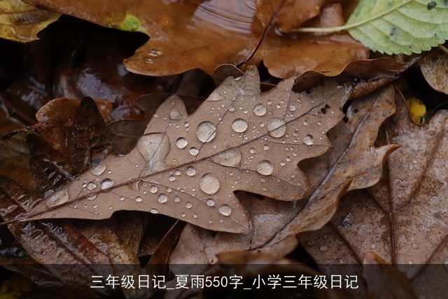 三年级日记_夏雨550字_小学三年级日记