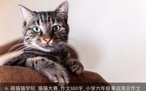 6.萌猫猫学院.猫猫大赛_作文650字_小学六年级童话寓言作文