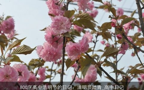 800字高中清明节的日记：清明节踏青_高中日记