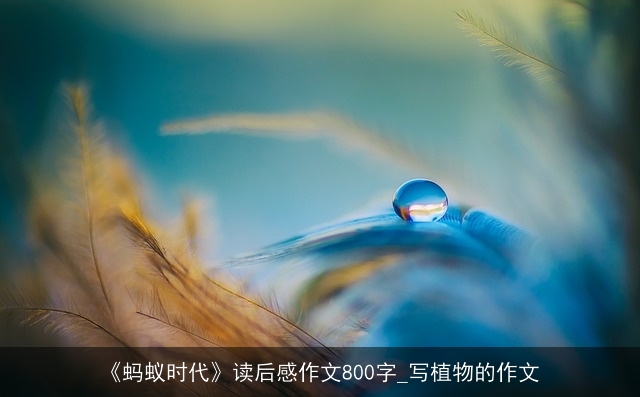 《蚂蚁时代》读后感作文800字_写植物的作文