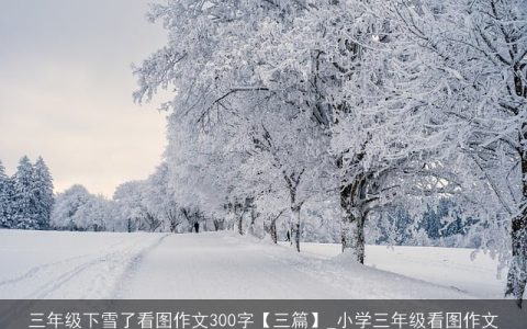 三年级下雪了看图作文300字【三篇】_小学三年级看图作文