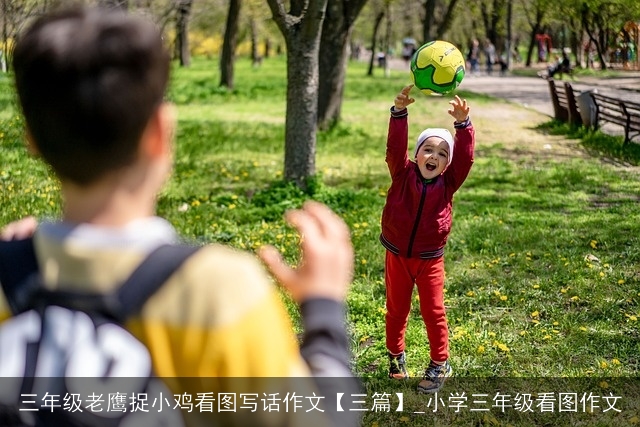 三年级老鹰捉小鸡看图写话作文【三篇】_小学三年级看图作文