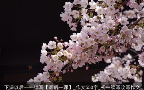 下课以后——续写【最后一课】_作文550字_初一续写改写作文