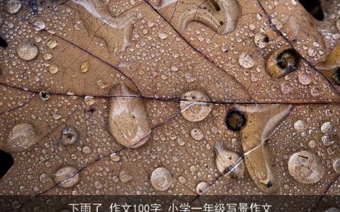 下雨了_作文100字_小学一年级写景作文