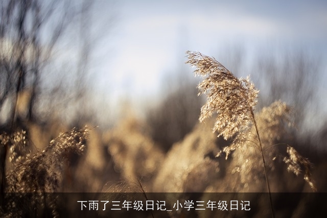 下雨了三年级日记_小学三年级日记