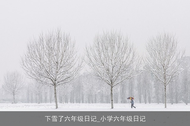 下雪了六年级日记_小学六年级日记