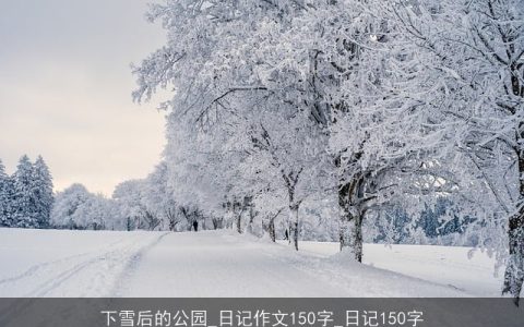 下雪后的公园_日记作文150字_日记150字