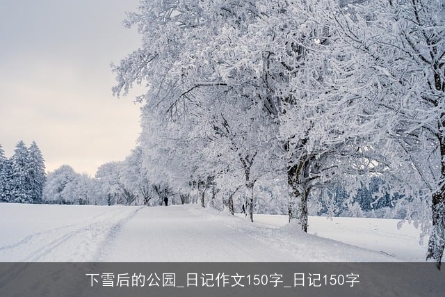 下雪后的公园_日记作文150字_日记150字