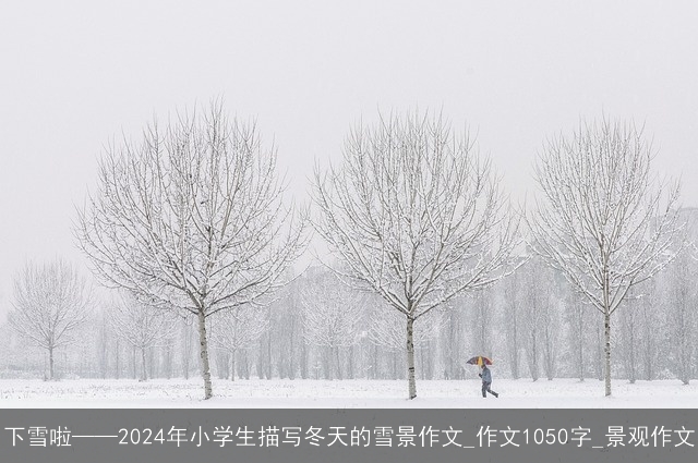 下雪啦——2024年小学生描写冬天的雪景作文_作文1050字_景观作文