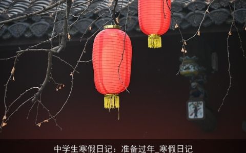 中学生寒假日记：准备过年_寒假日记