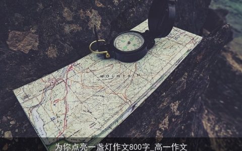 为你点亮一盏灯作文800字_高一作文